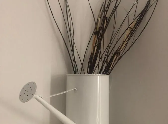 Myroom Sui Portici Bologna
